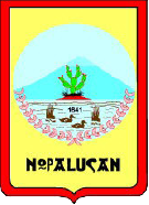 Escudo de Santa Ana Nopalucan